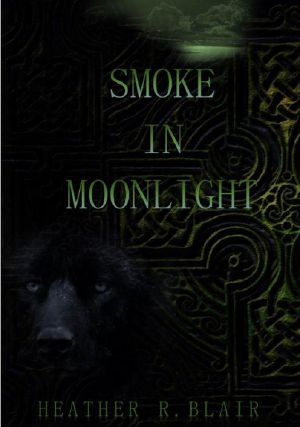 [Celtic Elementals 01] • Smoke in Moonlight